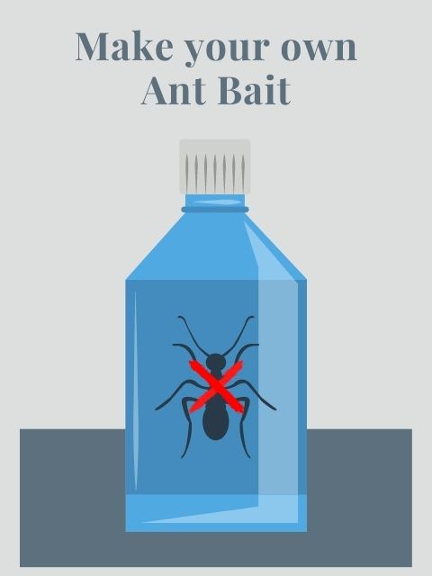 Poison Making How to Make Ant Poison – Destitute Gourmet