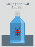 How to Make Ant Poison